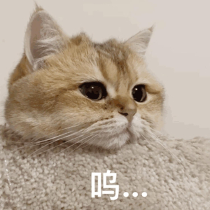 国产女王调教60分钟
